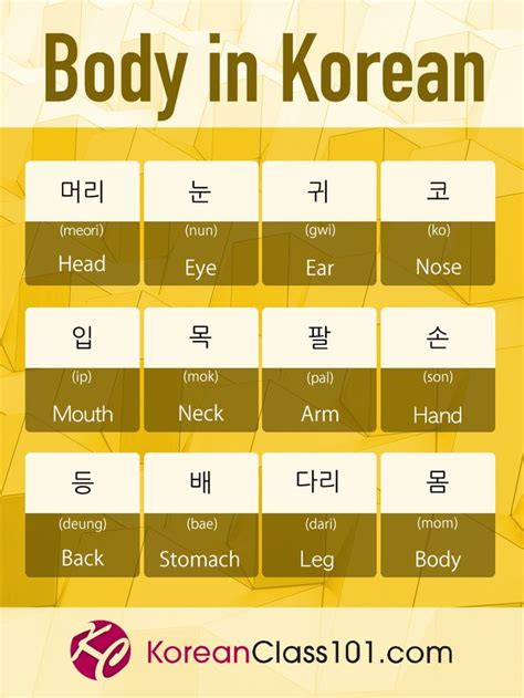 Korean Worksheets For Beginners Pdf Free