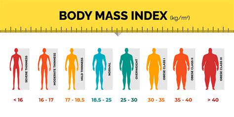 Bmi Classification Chart Measurement Man Colorful Infographic With