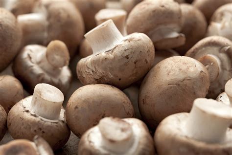 Eat more mushrooms if you want to avoid dementia