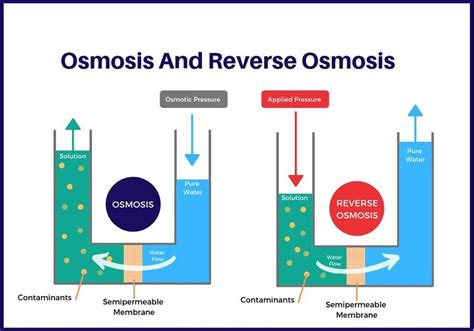 How Does Reverse Osmosis Work Knowledge Water Ts International Co