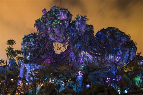 Pandora Ð The World Of Avatar At Disneys Animal Kingdom At Night You