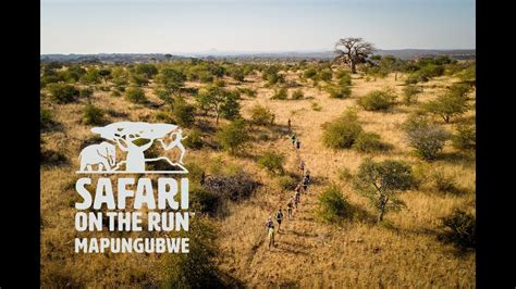 Uniquely Mapungubwe A Day In The Life Of Running Wild In Africa Youtube