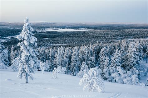 When Is The Best Time To Visit Lapland, Finland?
