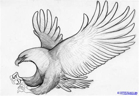 Simple Eagle Pencil Drawing Bestpencildrawing