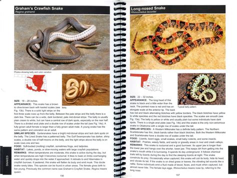 A Field Guide To Oklahomas Amphibians And Reptiles 4th Edition By