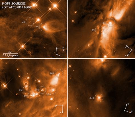 Infant Stars In Orion Hubblesite