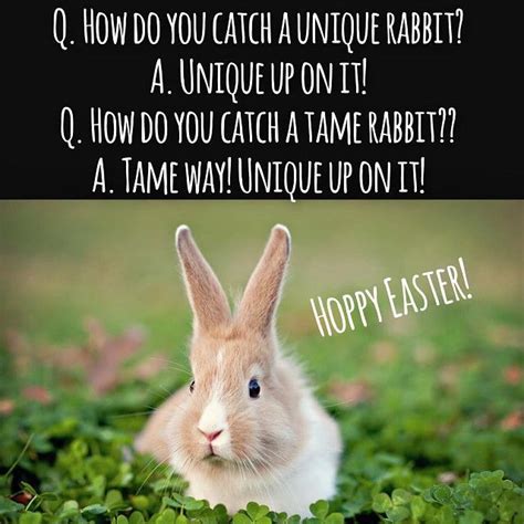 Cute Easter Joke In 2021 Easter Jokes Easter Humor Easter Quotes Funny