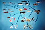 Types Of Aquatic Ecosystems