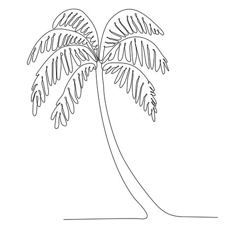 Dibujo De Línea Continua De Coco Natural Ilustración Vectorial Vector