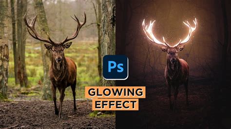Easy Glow Effect In Photoshop Glowing Deer Photoshop Tutorial Youtube