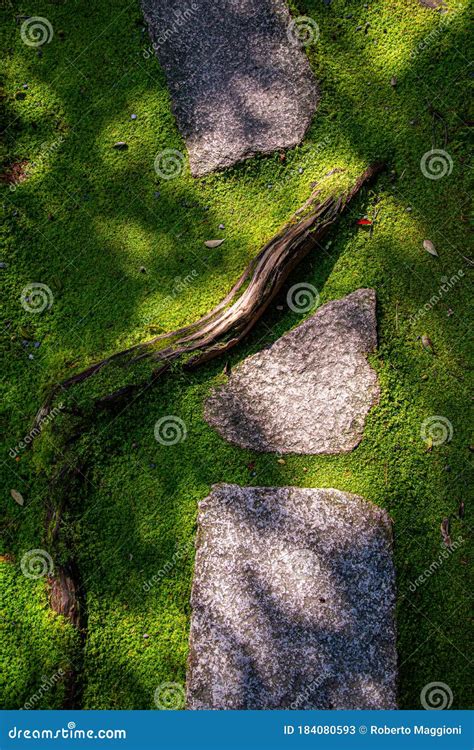 Japanese Miniature Garden Detail Moss Stones And A Root Stock Image