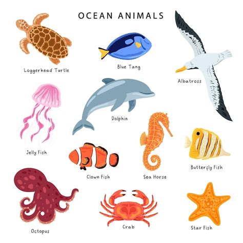 Oceanarium Ocean Animals And Fishes With Names Stock Illustration By