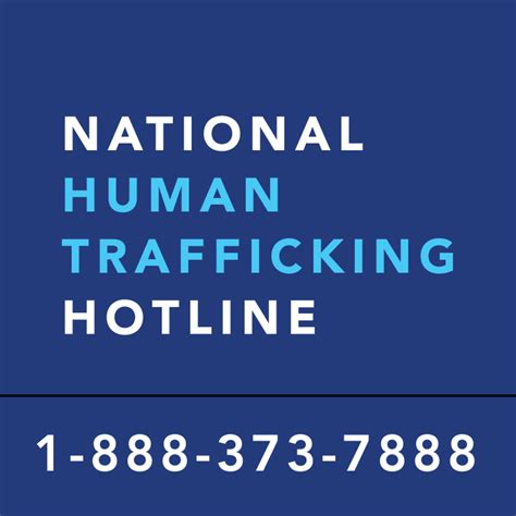 National Human Trafficking Hotline's Hub | VOMO