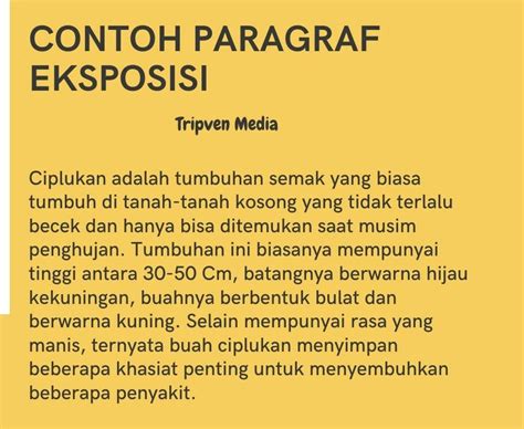 Contoh Berita Opini Dan Fakta - Viral Update