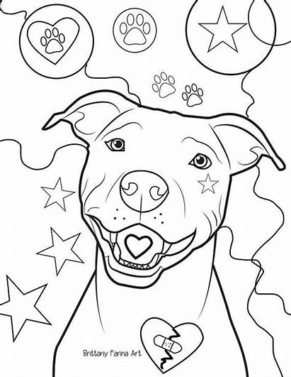 Pitbull Coloring Pit Pages Bull Drawing Realistic