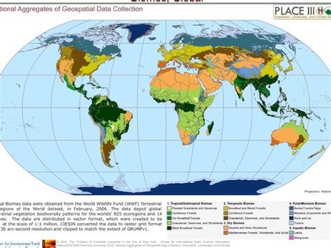 Biomes Of Earth By Kevin Davis