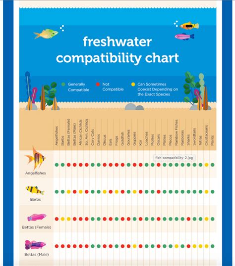 Petco Introduces A Freshwater Compatibility Chart Aquanerd