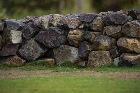 Rock Wall And Grass Free Stock Photo Public Domain Pictures