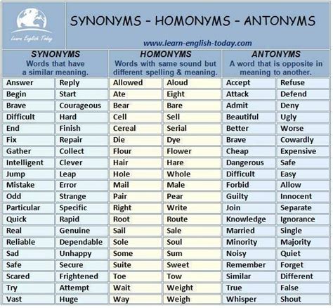 synonyms homonyms antonyms learn english english vocabulary english grammar