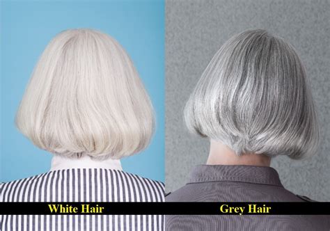 Grey Vs White Hair What Are The Differences Hairstylecamp
