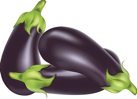 Eggplants Png Images Free Download Transparent Image Download Size