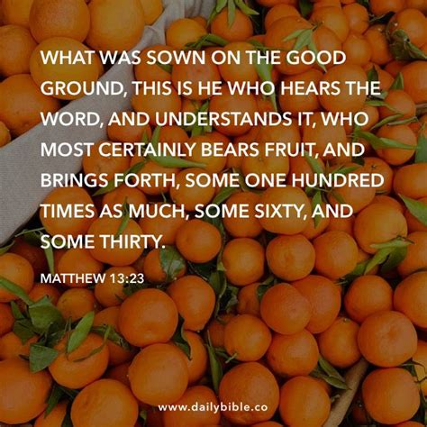 Matthew 1323 Inspirational Scripture Daily Scripture Word Of Faith