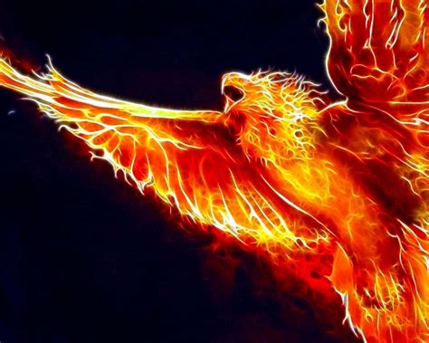 Free Download Birds Fire Phoenix Fractalius 1280x800 Wallpaper Animals
