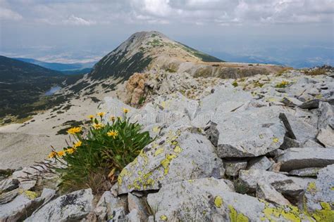 Mountain Pirin And View Of Peak Bezbog Stock Photo Image Of Bulgaria