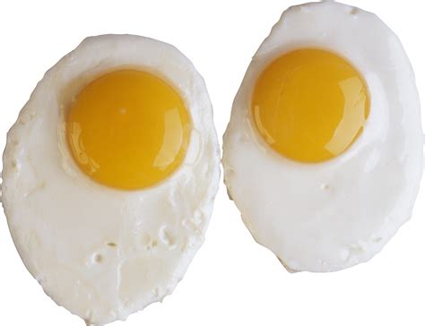 To search on pikpng now. Fried egg PNG