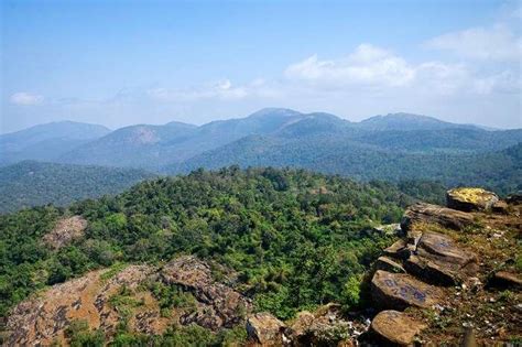 Biligirirangan Hills Know Everything About This Offbeat Paradise In 2023