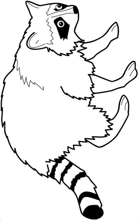 Maybe you would like to learn more about one of these? Black Raccoon Pictures - Cliparts.co