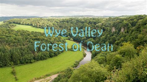 Wye Valley Walk Forest Of Dean A Beer And A Deer Youtube