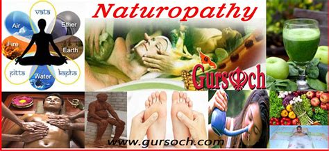 Naturopathy And Its Therapies Gursoch The Gurbani Connection