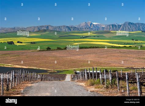 View Across Farmlands Of The Boland Mountains In South Africas Western
