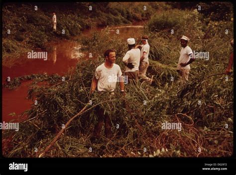 PRISONERS FROM JEFFERSON COUNTY JAIL REMOVE BRANCHES FROM POLLUTED