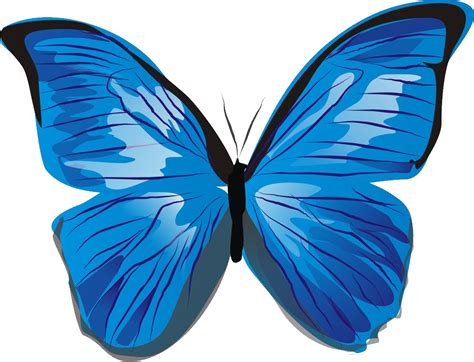 Blue Butterfly Png Image Transparent Image Download Size 1022x781px