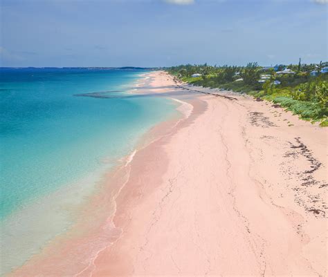 The bahamas islands (the commonwealth of the bahamas) are a constitutional monarchy associated with the british commonwealth. Harbour Island travel | Out Islands, The Bahamas - Lonely ...