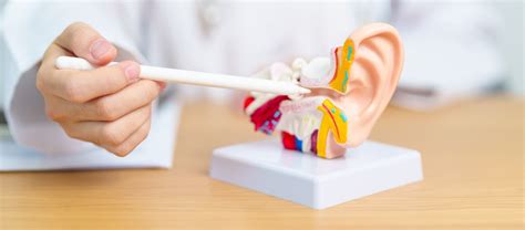 Unlocking The Secrets The Link Between Hearing Loss And Ear Infections