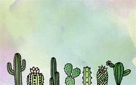 Cute Cactus Desktop Wallpapers 4k Hd Cute Cactus Desktop Backgrounds
