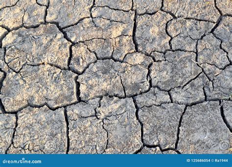 Cracks In The Ground Dry Dehydrated Soil Drought Stock Photo Image