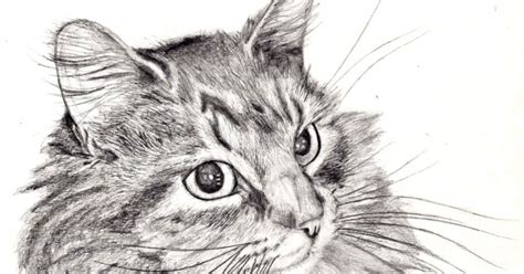 Cat sitting front view outline drawing. Easy Cat Drawings In Pencil | Wallpapers Gallery