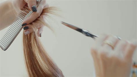 Female Hairdresser Cutting Hair Tips With Hairdressing Scissors In