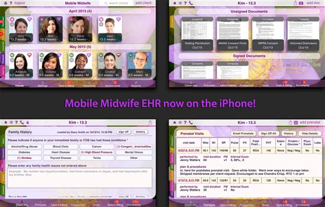 How It Works Mobile Midwife Ehr App For The Ipad Electronic Charting