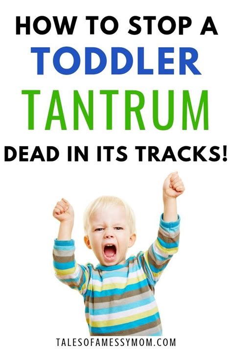 Toddler Tantrums Why They Happen And How To Handle Them Tales Of A