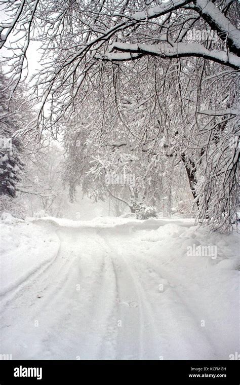 Deep Snow Creates A Winter Wonderland Following A Blizzard Stock Photo