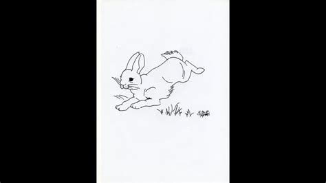 Cómo Dibujar Un Conejo How To Draw A Rabbit Youtube