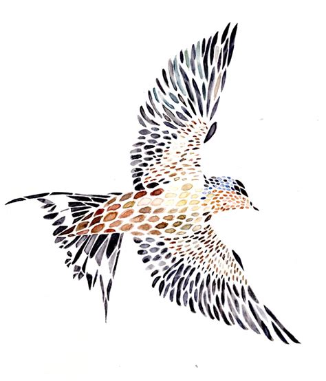 Search For Swallow Drawing At