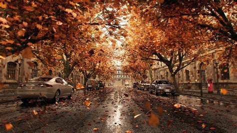 壁纸 汽车，树木，道路，城市，树叶，秋天 1920x1080 Full Hd 2k 高清壁纸 图片 照片
