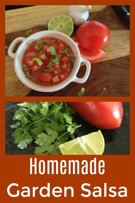Homemade Garden Salsa Recipe Mama Likes To Cook