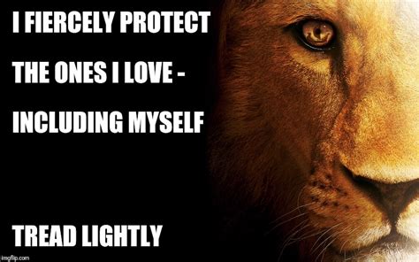 Lioness Memes Imgflip